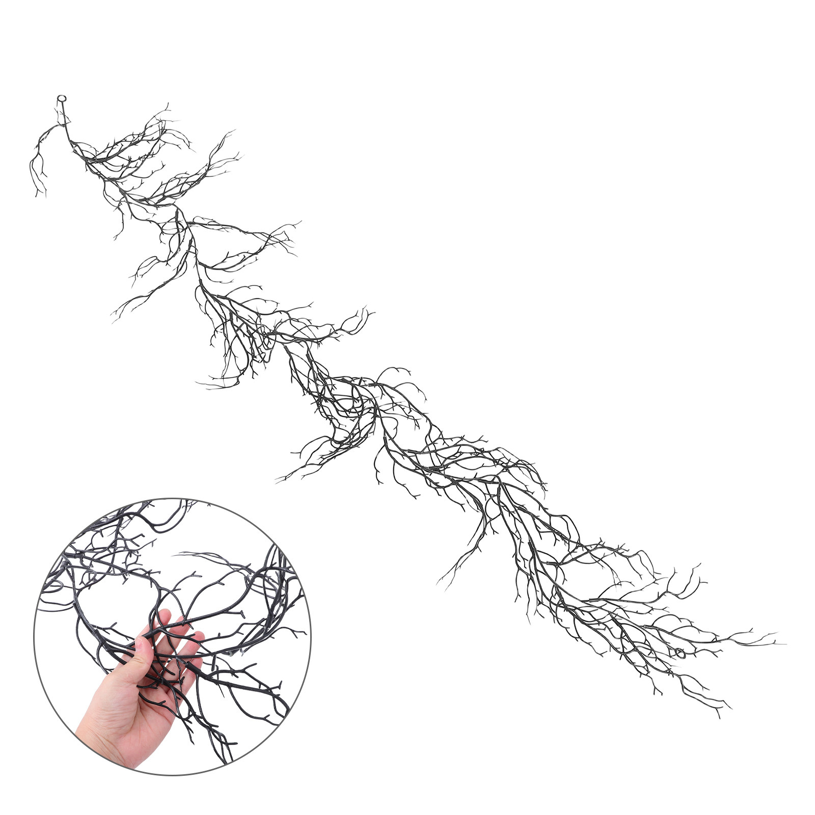 Branch Curly Willow - أغصان الصفصاف السوداء المزخرفة والمجعدة من