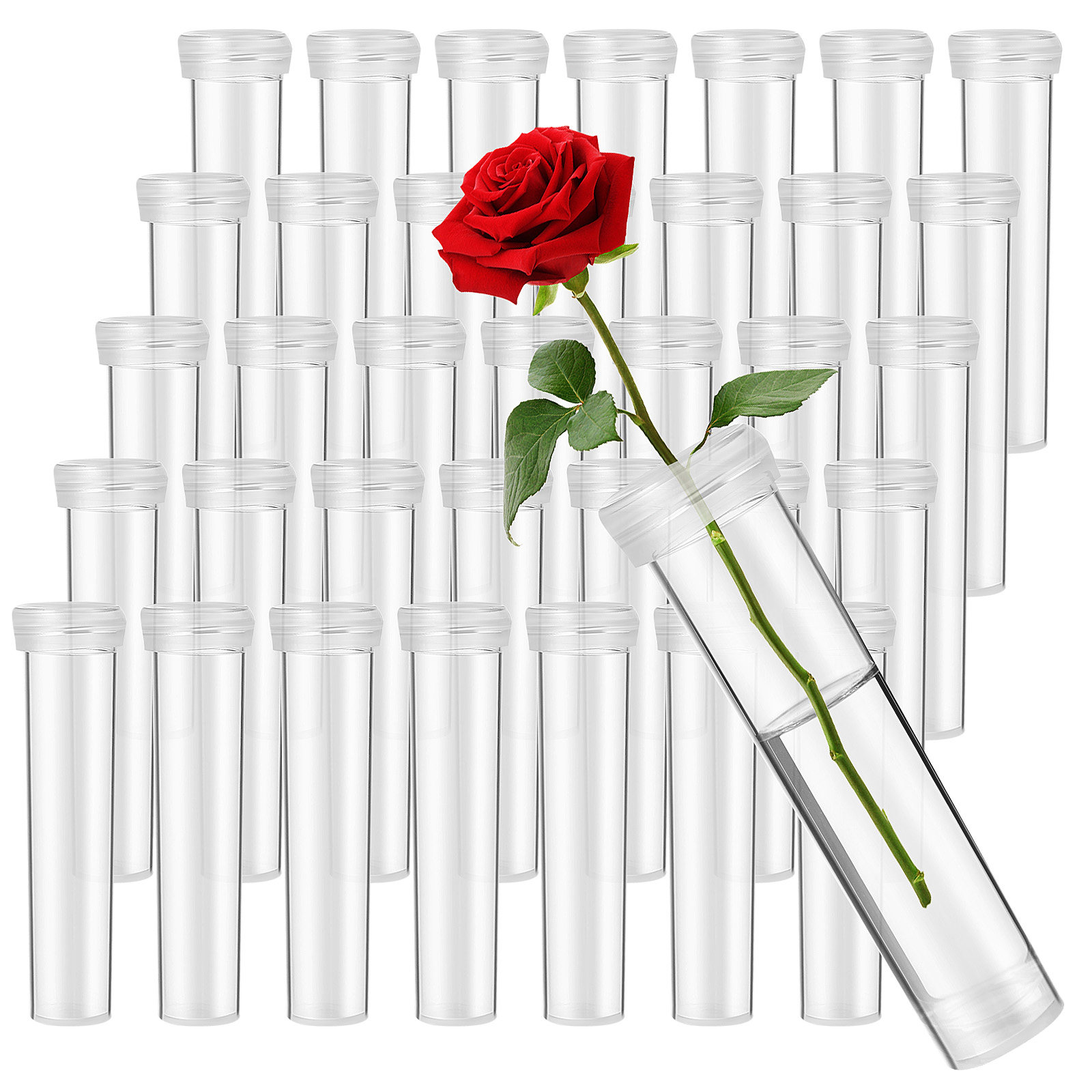 100 قطعة من أنابيب تغذية الزهو - مراجعة The Florist Supply وسعره
